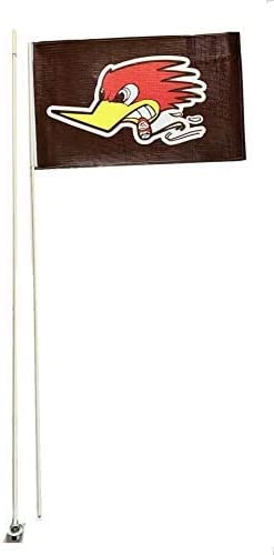 JLP Suzuki Kawasak Polaris Can Am 2 Part 7' ATV Whip F Heavy Duty Flag