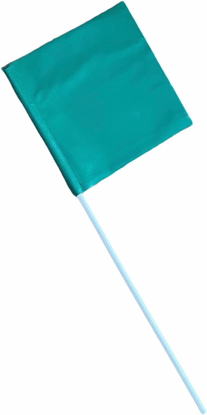 2095 Ski Flag with Pole Teal Blue