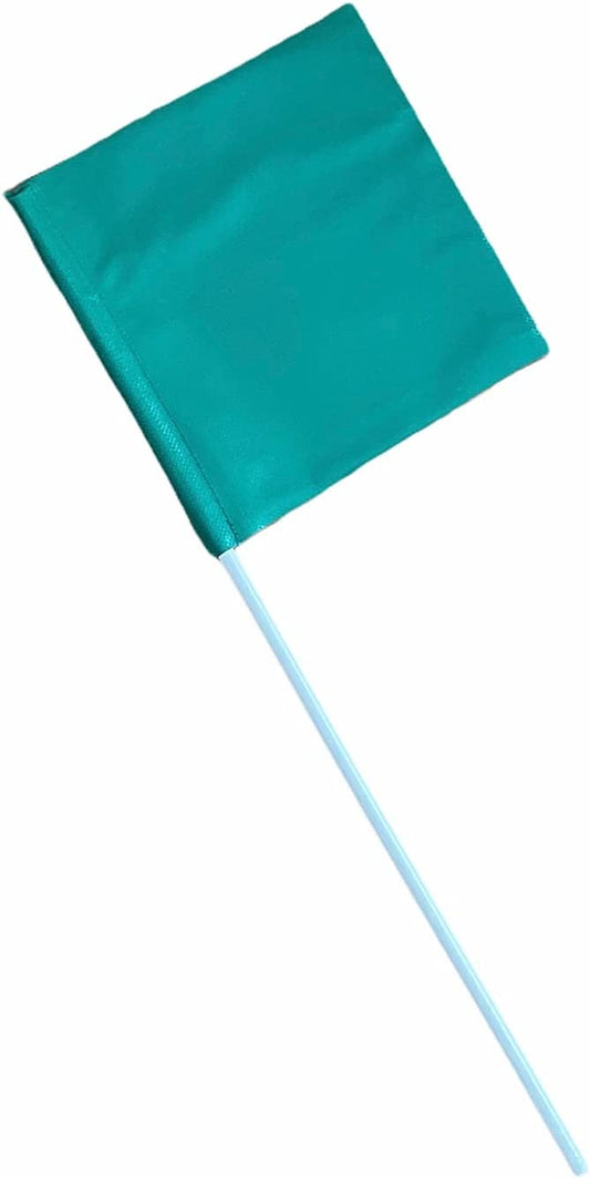 2095 Ski Flag with Pole Teal Blue